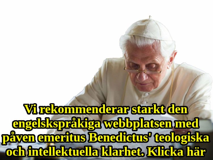 Benedikt Webside