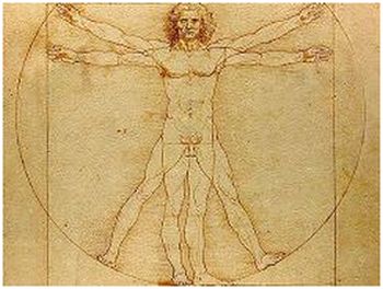 Människan enligt Vitruvius’ arkitektskola1:a århundradet f. Kr. Leonardo da Vinci 1452-1519