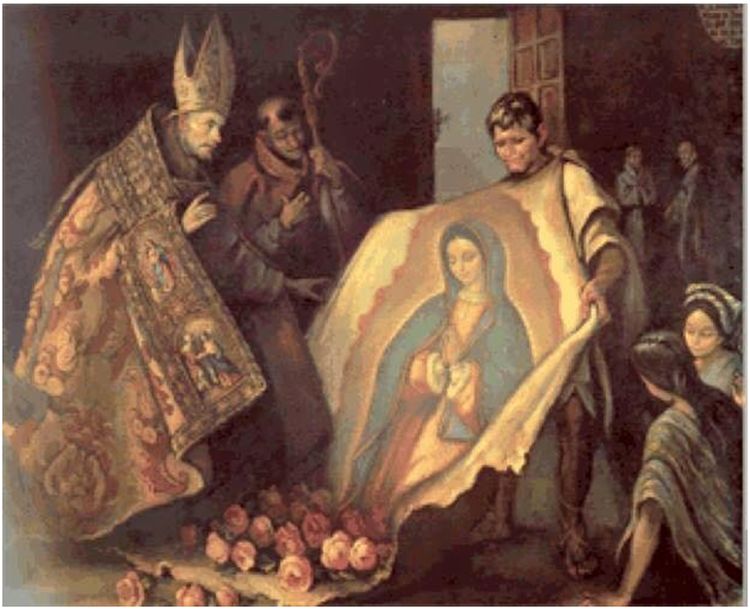 Nådebilden av Vår Fru och Moder av Guadalupe och några märkliga fenomen