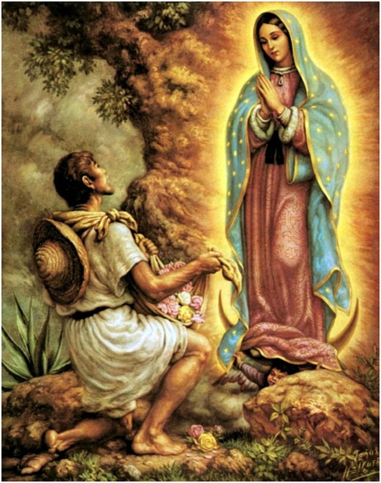 Nådebilden av Vår Fru och Moder av Guadalupe  och några märkliga fenomen
