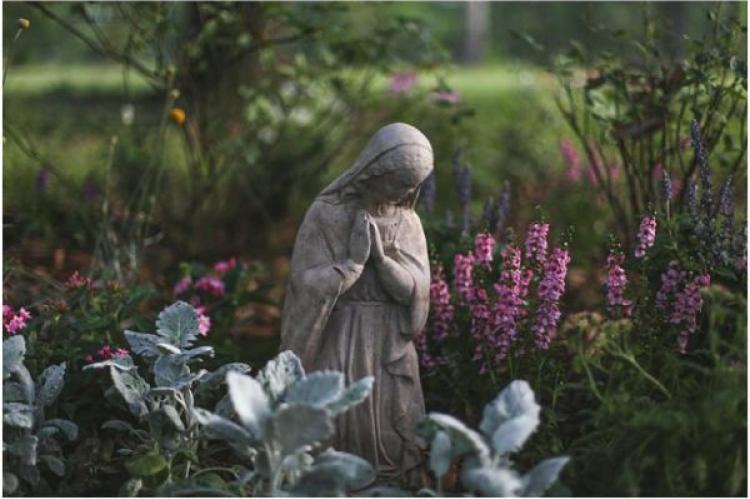 Familjen Malloys Mary-trädgård