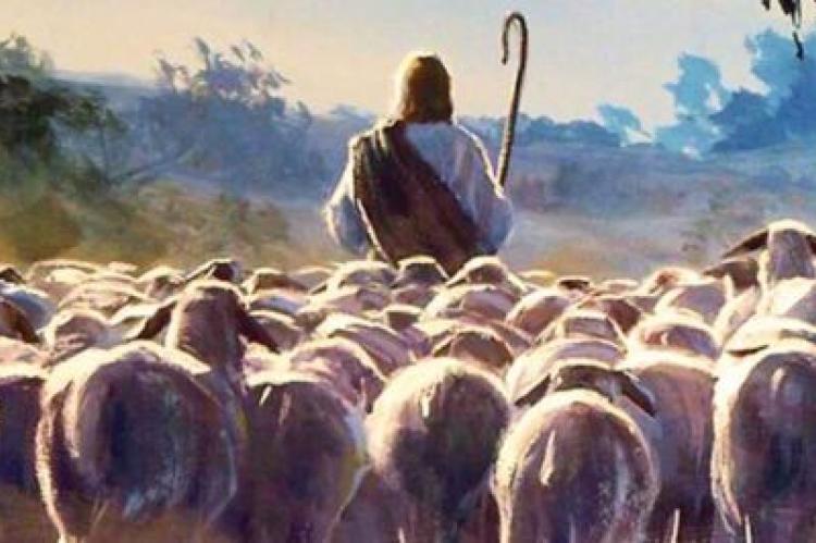Jesus, den gode herden